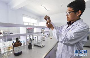 河北故城 新材料技術研發助力打造國際一流畫材基地