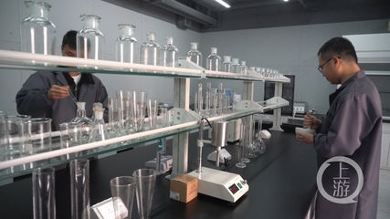 攜手創新，驅動未來 重慶大學與重慶交通大學聯合成立新材料新技術研發中心